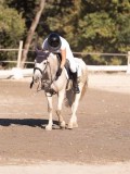 DSC01534 DSC01534