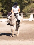 DSC01535 DSC01535