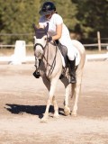 DSC01536 DSC01536