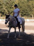 DSC01537 DSC01537