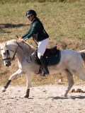 DSC03658 DSC03658
