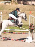 DSC03667 DSC03667