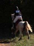 DSC04947
