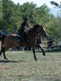 DSC_6050 DSC_6050