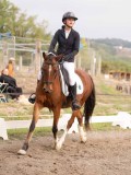 DSC02574 DSC02574