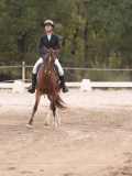DSC02580 DSC02580
