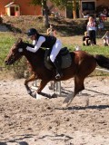 DSC04554 DSC04554