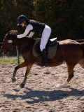 DSC04556 DSC04556