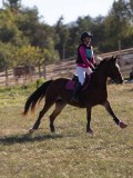 DSC05394 DSC05394