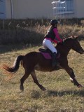 DSC05396 DSC05396