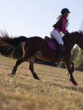 DSC05408 DSC05408