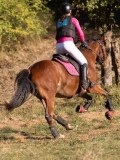 DSC05418 DSC05418