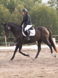 DSC02769 DSC02769
