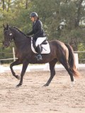 DSC02778 DSC02778