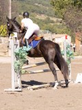 DSC03994 DSC03994