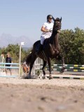 DSC03996 DSC03996