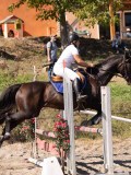 DSC03998 DSC03998
