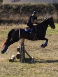 DSC05156 DSC05156