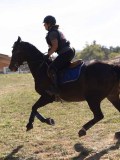 DSC05165 DSC05165