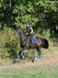 DSC_6128 DSC_6128