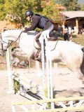 DSC03434 DSC03434