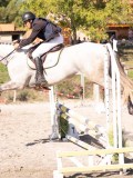 DSC03435 DSC03435