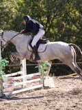 DSC03437 DSC03437