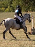 DSC04749 DSC04749