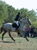 DSC_5984 DSC_5984