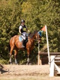 24_03799
