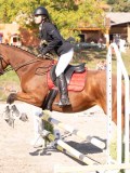 DSC03119 DSC03119