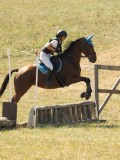 DSC06438 DSC06438