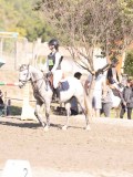 DSC03306 DSC03306
