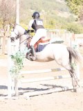 DSC03310 DSC03310