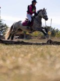 DSC04675 DSC04675