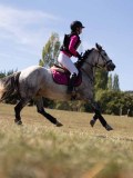 DSC04676 DSC04676
