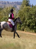 DSC04677 DSC04677
