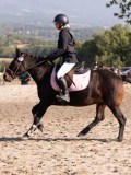 DSC02989 DSC02989