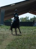 DSC_5627 DSC_5627