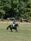 DSC_5635 DSC_5635