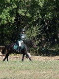 DSC_5637 DSC_5637