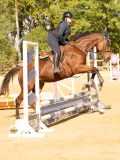 DSC08224 DSC08224