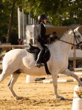DSC07634 DSC07634