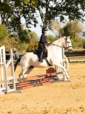 DSC07635 DSC07635