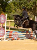 DSC08377 DSC08377