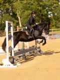 DSC08379 DSC08379