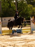 DSC08380 DSC08380