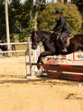 DSC08383 DSC08383