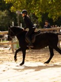 DSC08385 DSC08385