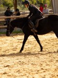 DSC08388 DSC08388